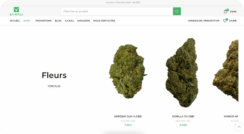 Fleurs de CBD vendues sur la boutique en ligne de La Kali CBD